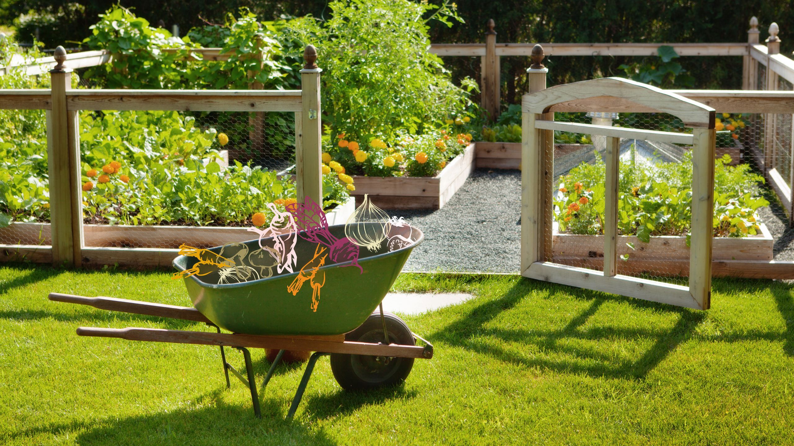 16BackyardVegetableGardenIdeas
