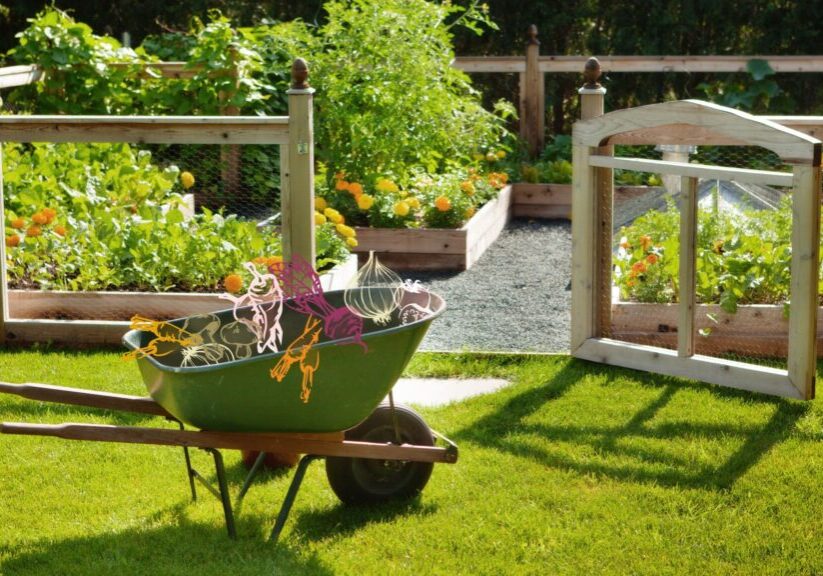 16BackyardVegetableGardenIdeas